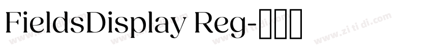 FieldsDisplay Reg字体转换 FieldsDisplay Reg字体转换